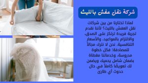 شركة نقل عفش بالليث
