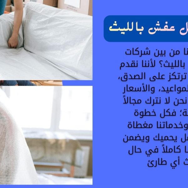 شركة نقل عفش بالليث