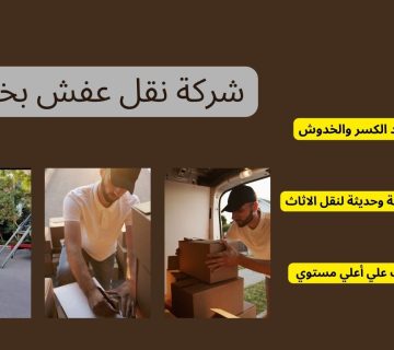 شركة نقل عفش بخليص